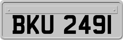 BKU2491
