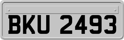 BKU2493