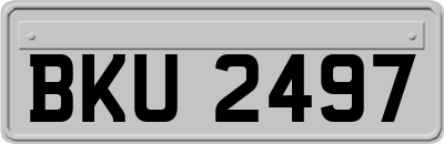 BKU2497