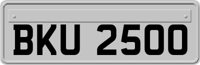 BKU2500
