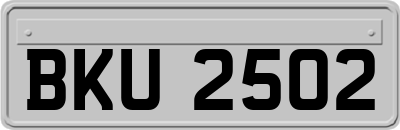 BKU2502