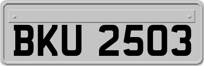 BKU2503
