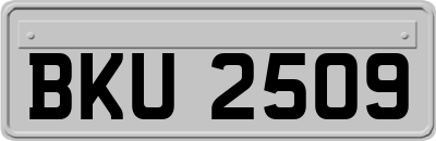 BKU2509