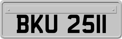 BKU2511
