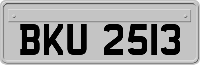 BKU2513