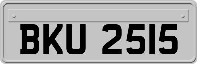 BKU2515