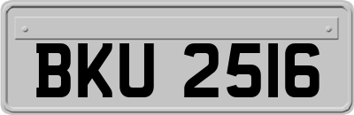 BKU2516