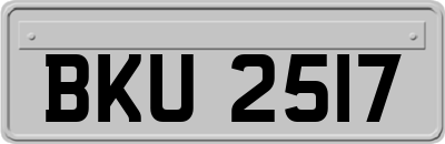 BKU2517