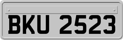 BKU2523