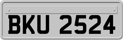 BKU2524