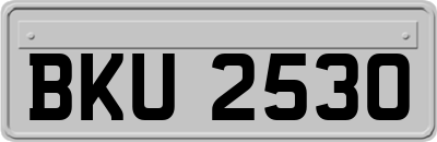 BKU2530