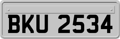 BKU2534