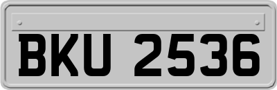 BKU2536