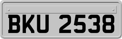 BKU2538