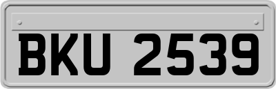 BKU2539