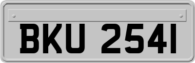 BKU2541