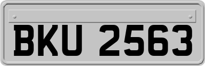 BKU2563