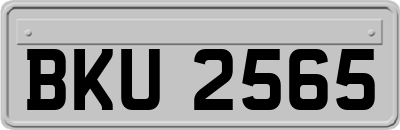 BKU2565