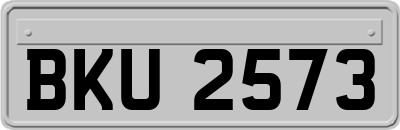 BKU2573