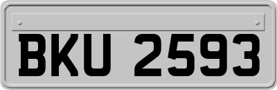 BKU2593
