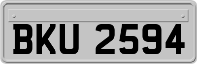BKU2594