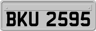 BKU2595