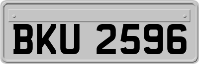 BKU2596