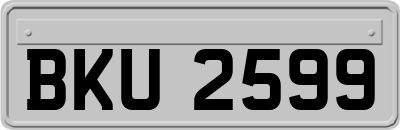 BKU2599