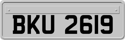 BKU2619