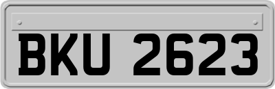 BKU2623