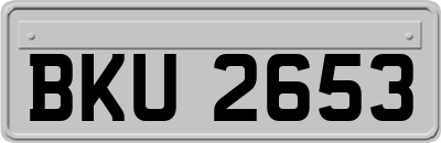 BKU2653