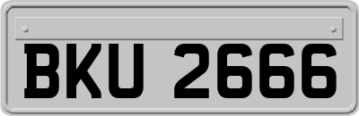 BKU2666