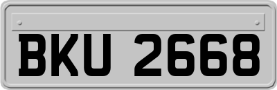 BKU2668