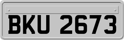 BKU2673