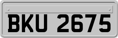 BKU2675