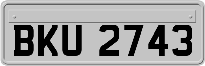 BKU2743