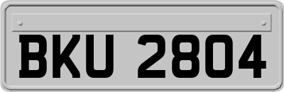 BKU2804