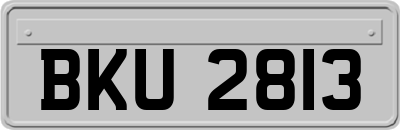 BKU2813