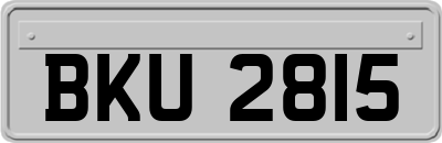 BKU2815