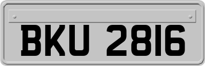 BKU2816