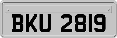 BKU2819