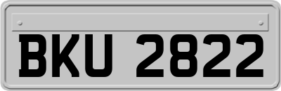 BKU2822