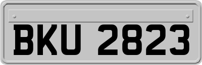 BKU2823