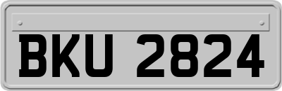 BKU2824