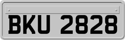 BKU2828