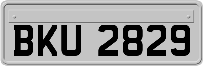 BKU2829