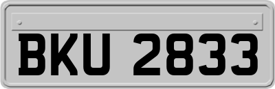 BKU2833