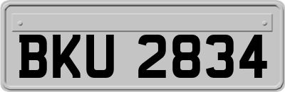 BKU2834