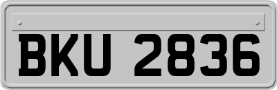 BKU2836