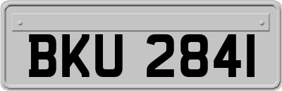 BKU2841